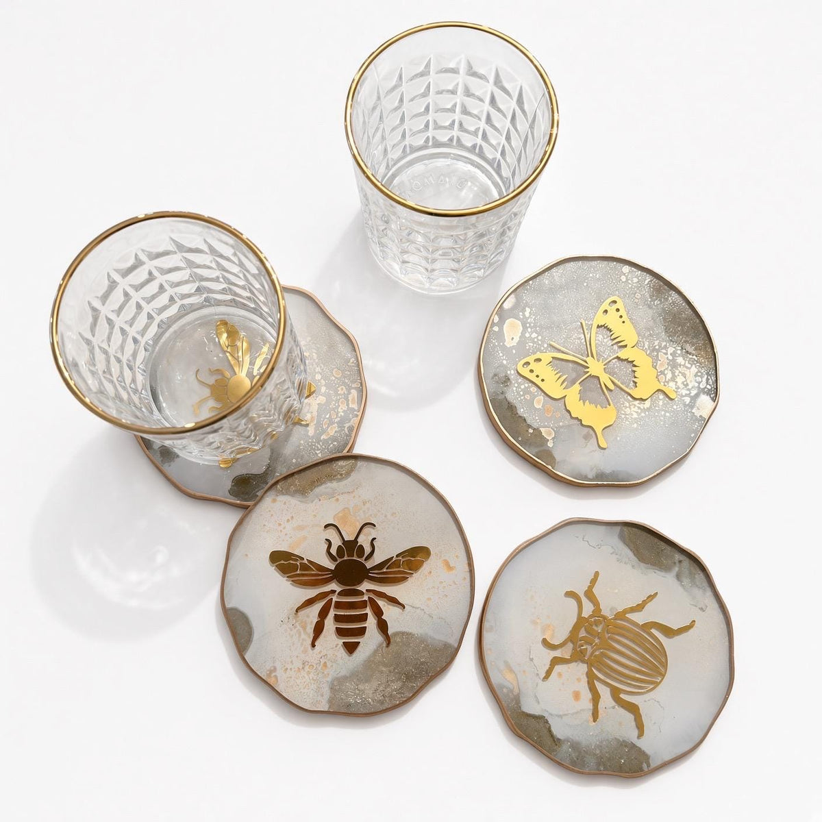 Insect Coasters Variety Set