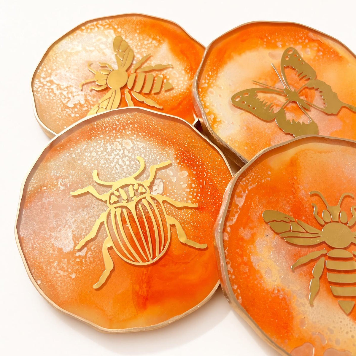 Insect Decal Variety Coaster Set