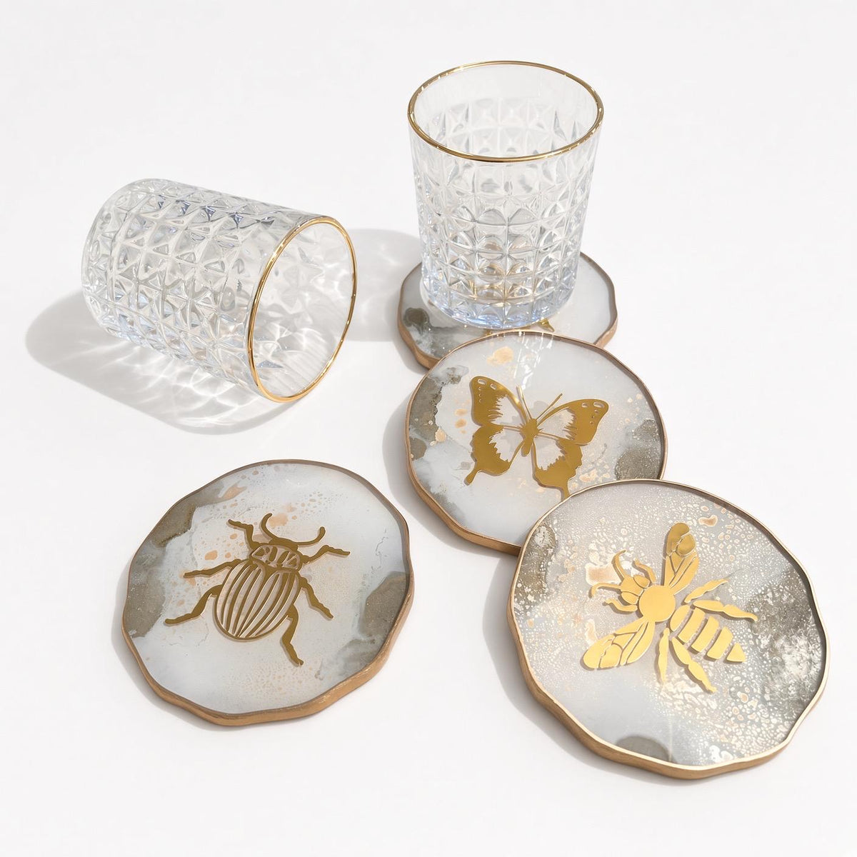 Insect Coasters Variety Set