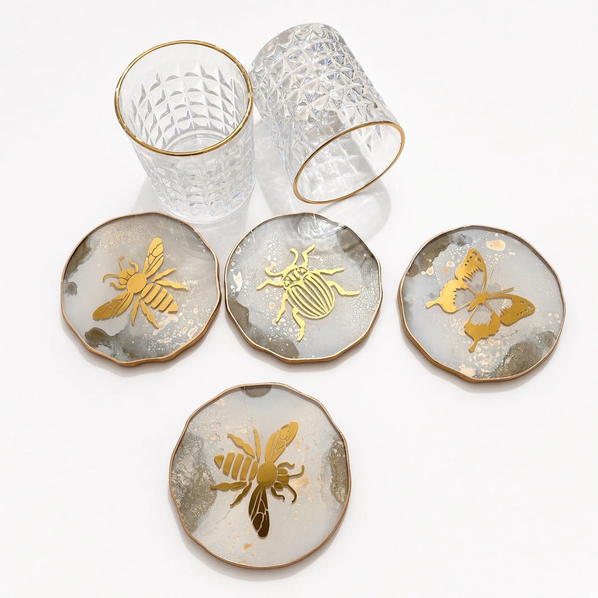 Insect Coasters Variety Set