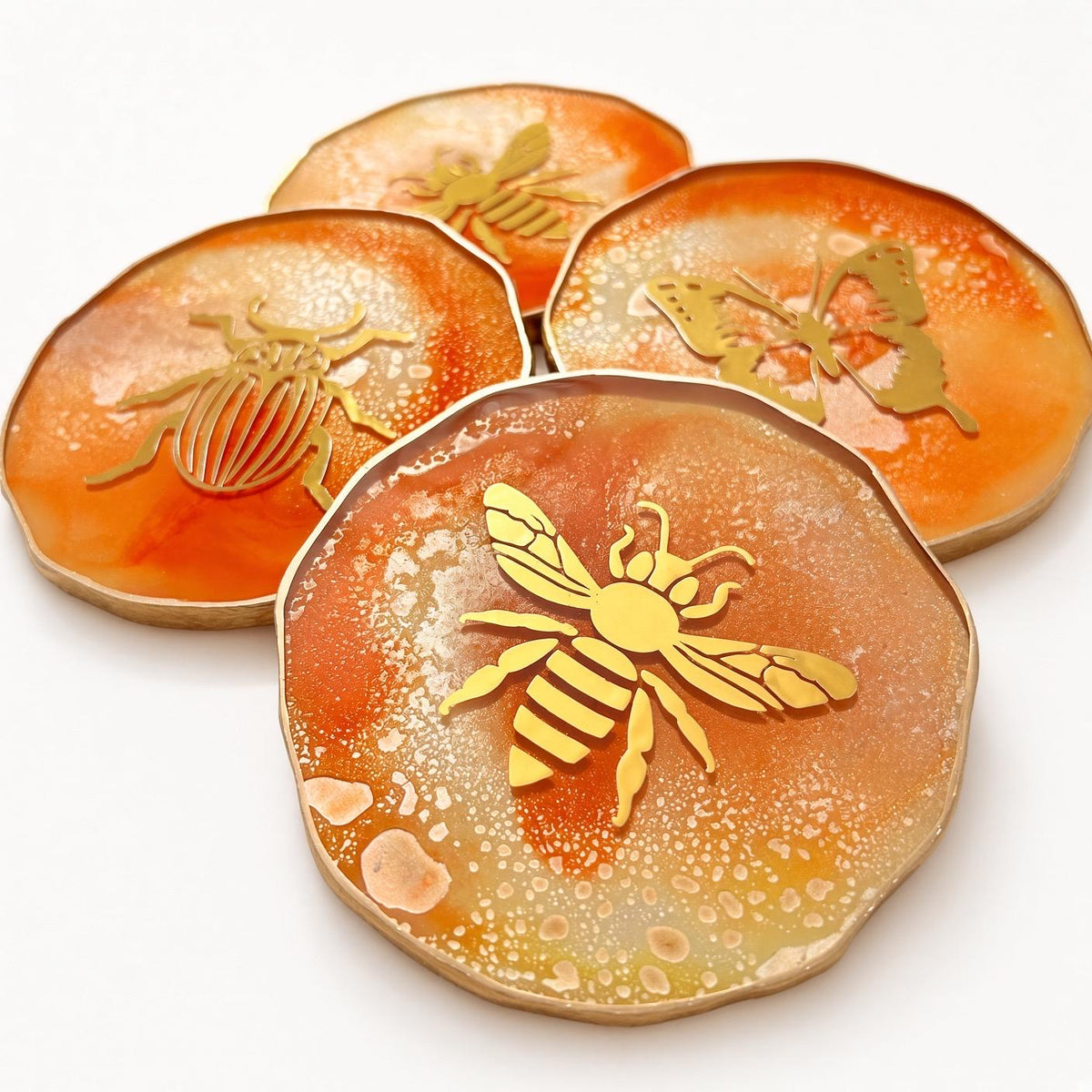 Insect Decal Variety Coaster Set
