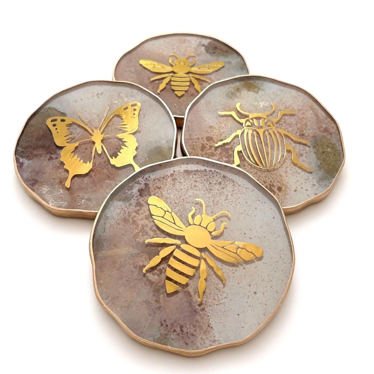 Insect Coasters Variety Set