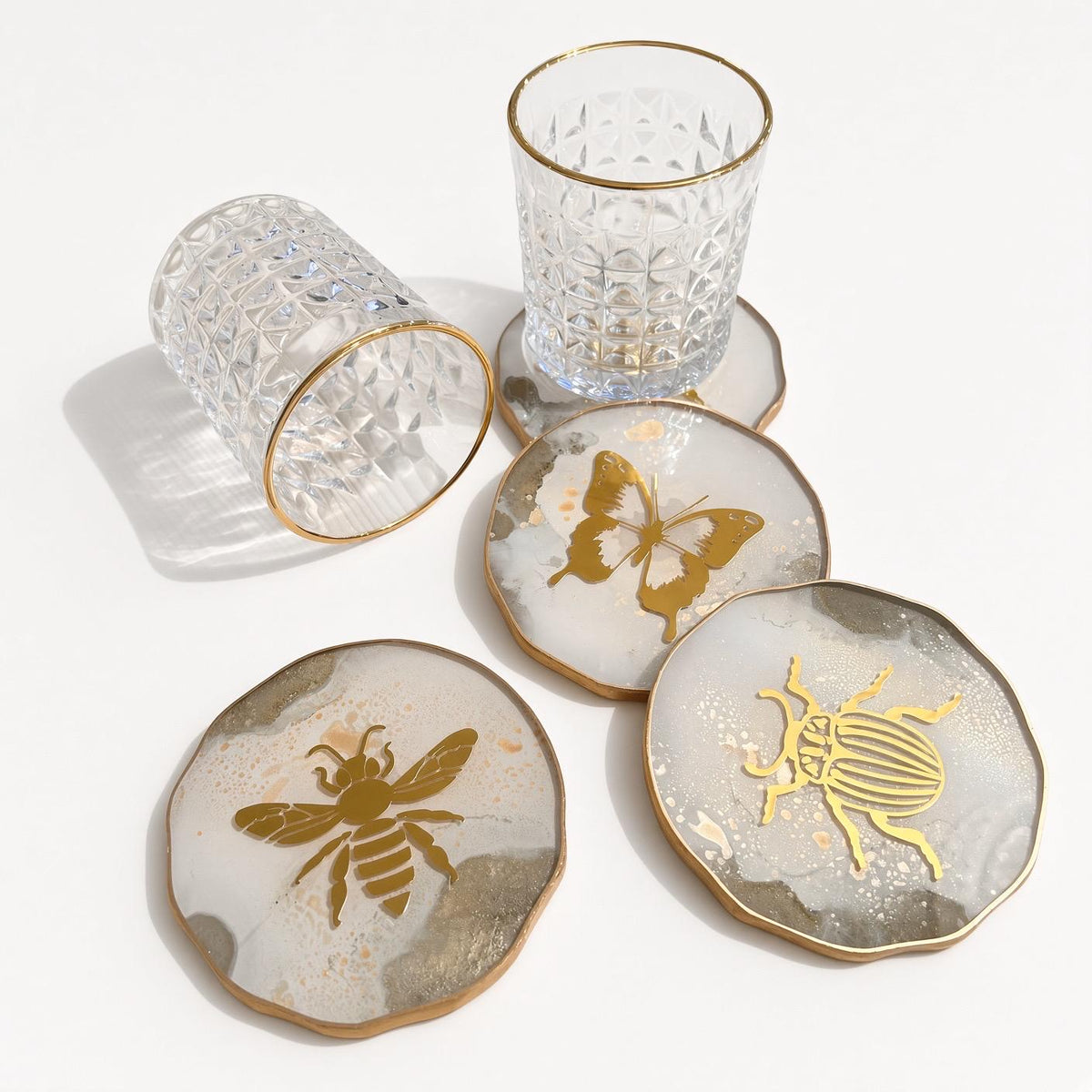 Insect Coasters Variety Set
