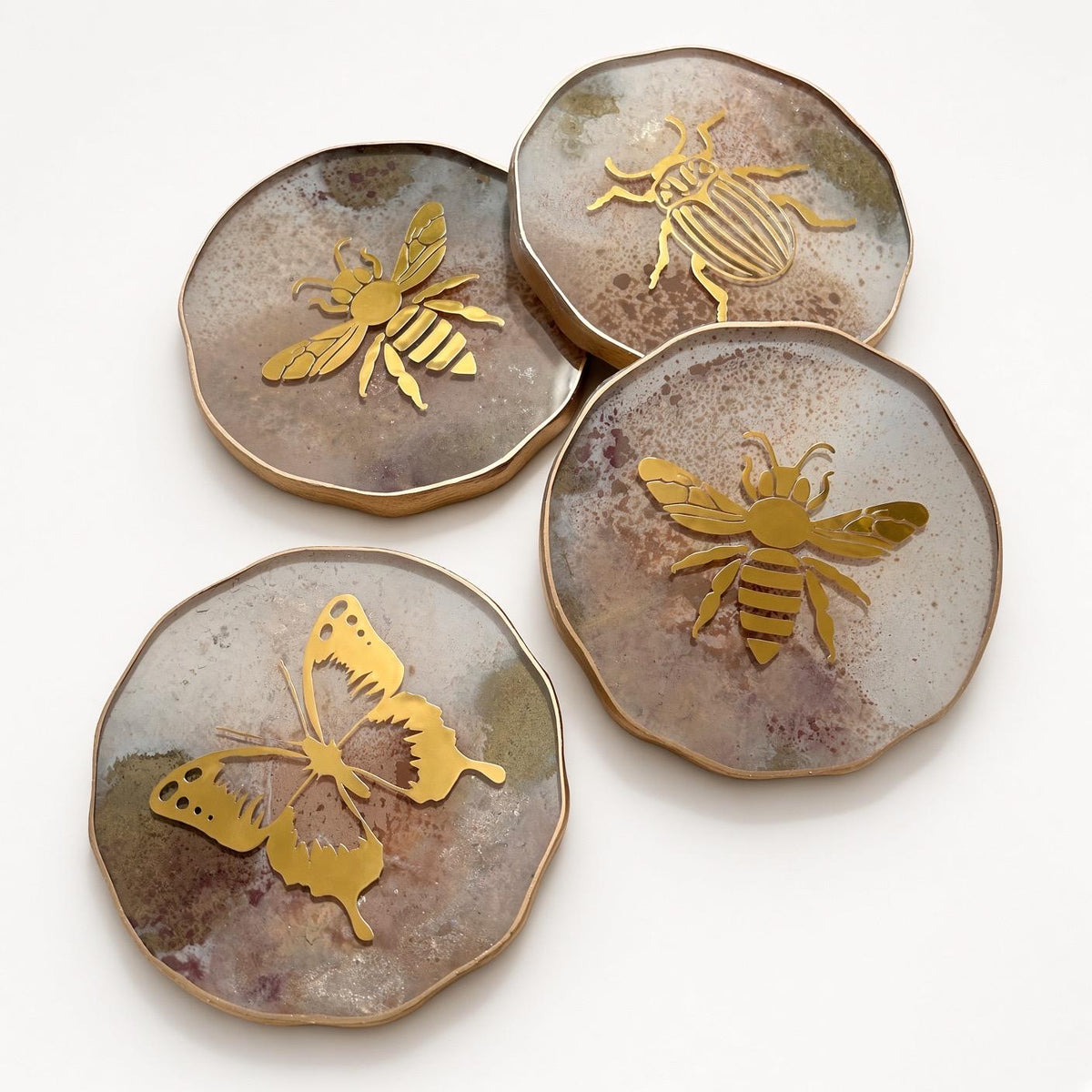 Insect Coasters Variety Set