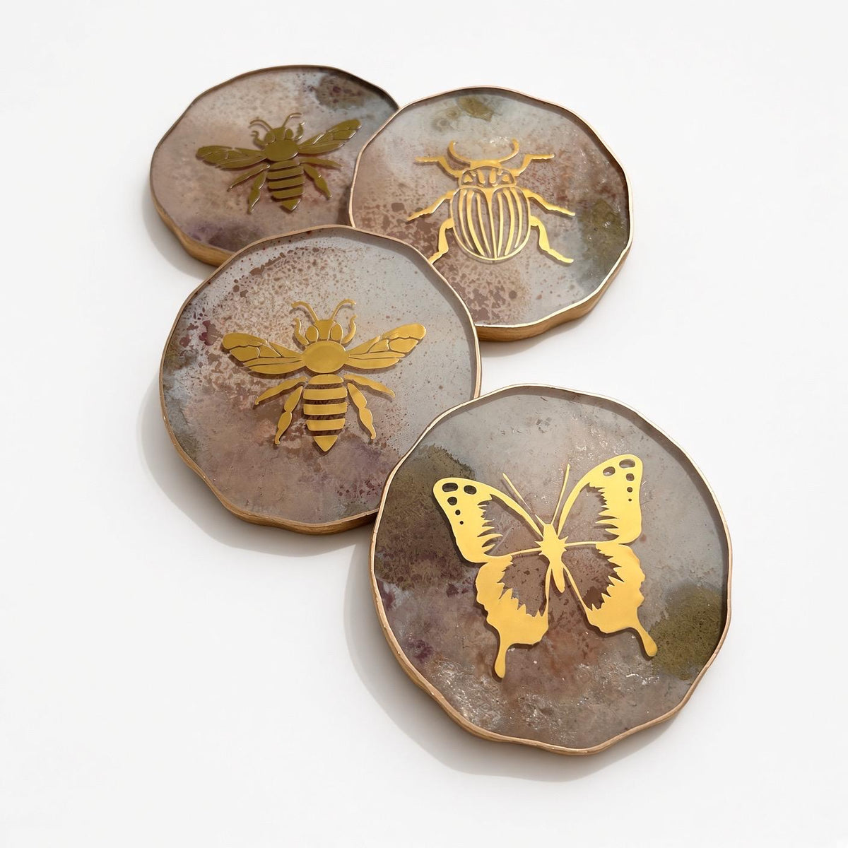 Insect Coasters Variety Set