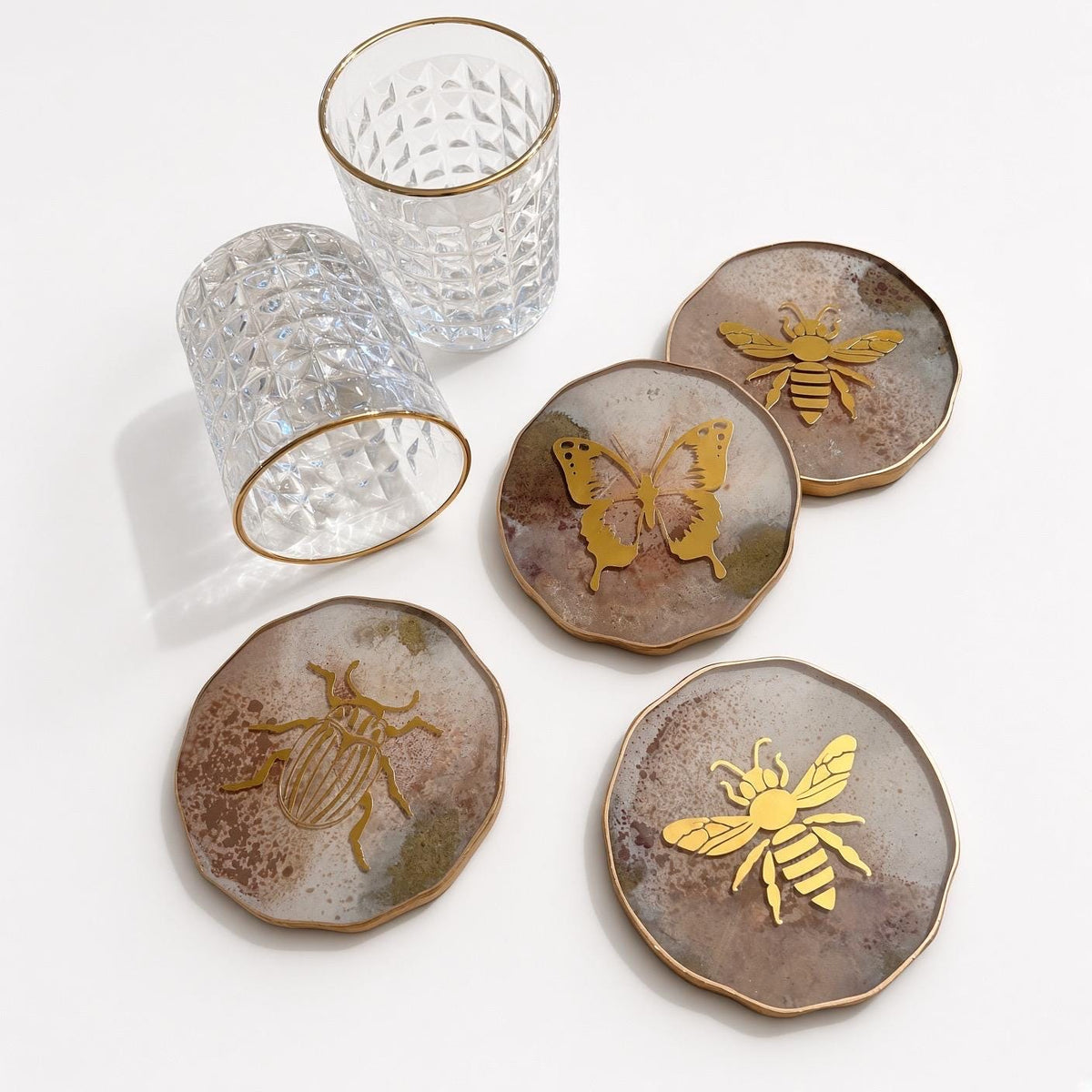Insect Coasters Variety Set